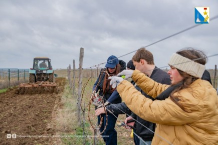 70% ������������ �� ����� ������������ �������������� ������� � ���������� �����