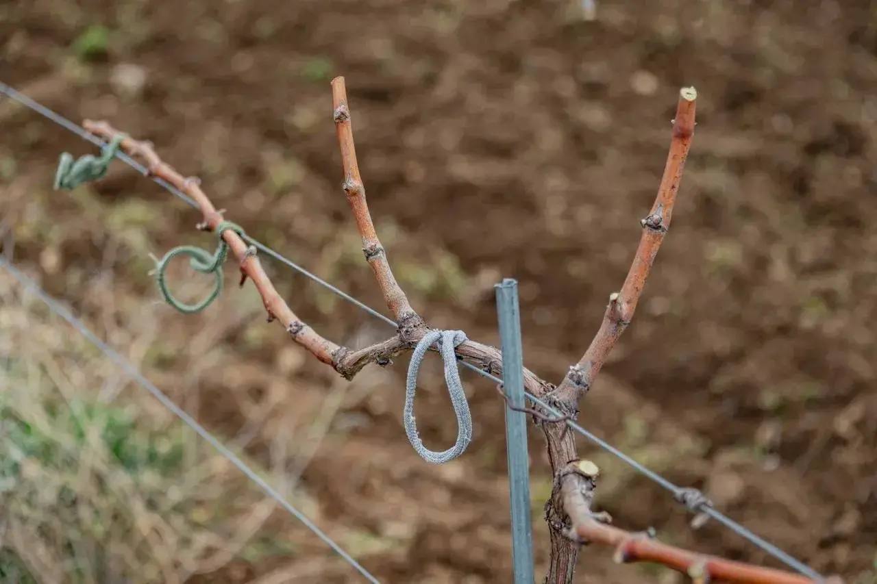 70% севастопольских агропредприятий укомплектованы выпускниками профильной кафедры 70% севастопольских агропредприятий укомплектованы выпускниками профильной кафедры