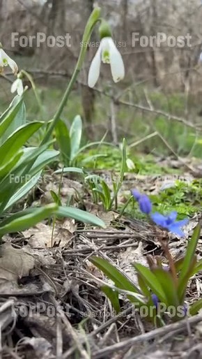 � ������� ����� � ����������� � ����� ���������� ���� ����� �� ���������