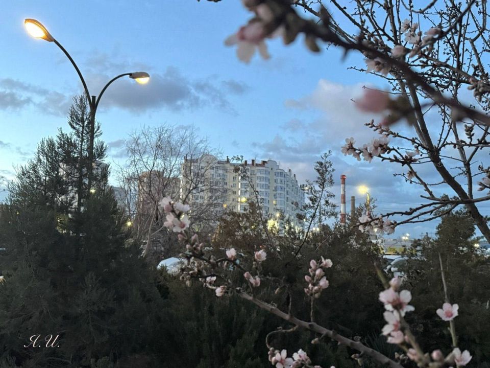 Горсвет: График включения и отключения объектов наружного освещения города Севастополя на текущую неделю: