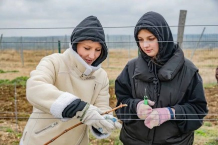 Михаил Развожаев: Как готовим молодых аграриев в Севастополе