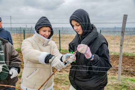 ������� ���������: ���� ���������� ������ ��������: 70% �������������� ����������� ����������� ���������� ������� ��������� �����!