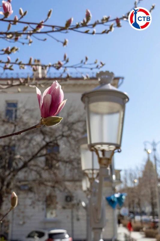 ����� � ������ � ����. ��������, ��� ���� �����������, ��� ������� ������ ��������? ������ ����������� �������� ������ � �������� �����