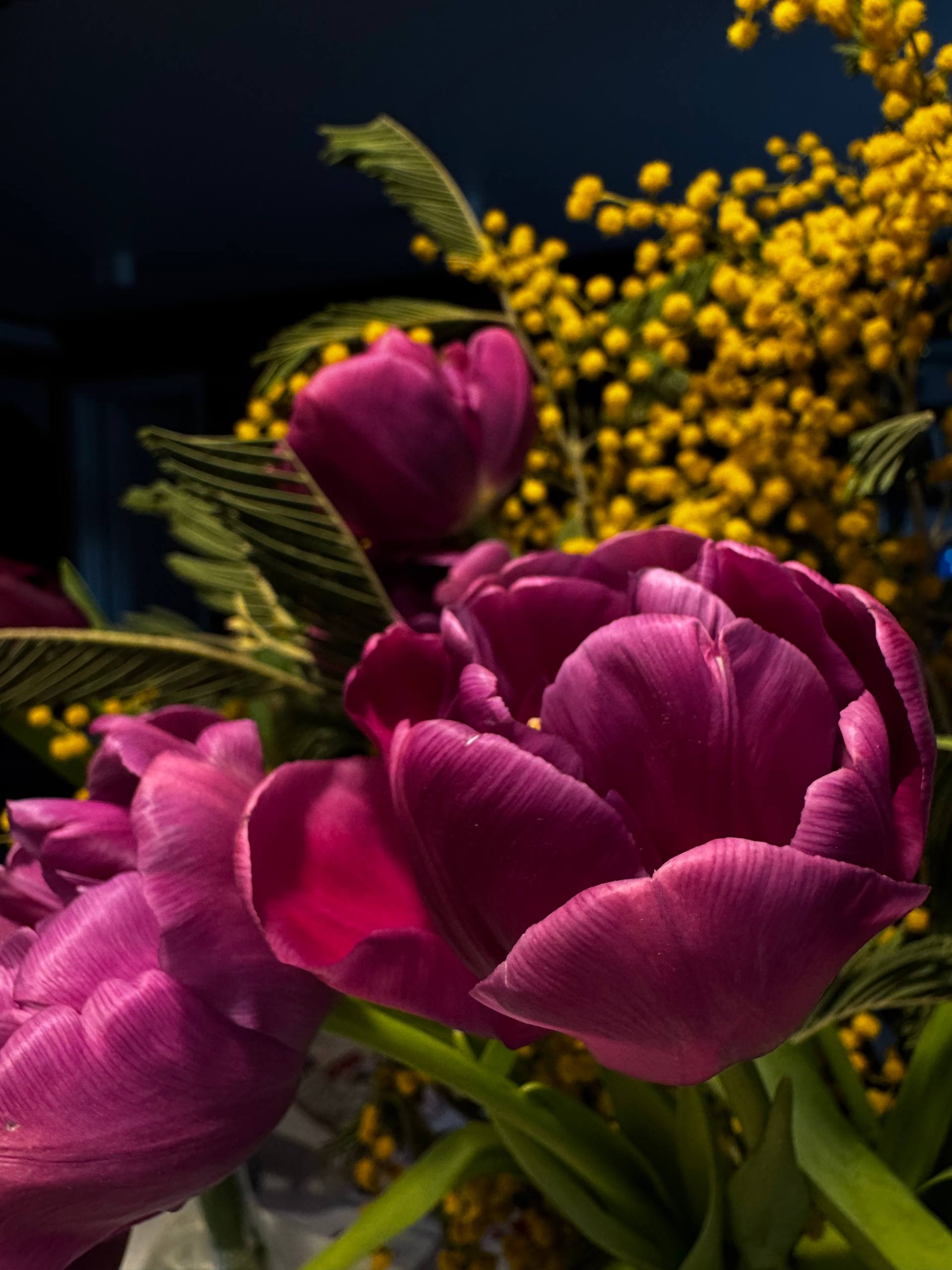 Прогноз погоды в Крыму на 9 марта