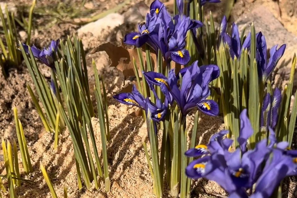 � ������ �����, ������!. � ����������� ��� �������