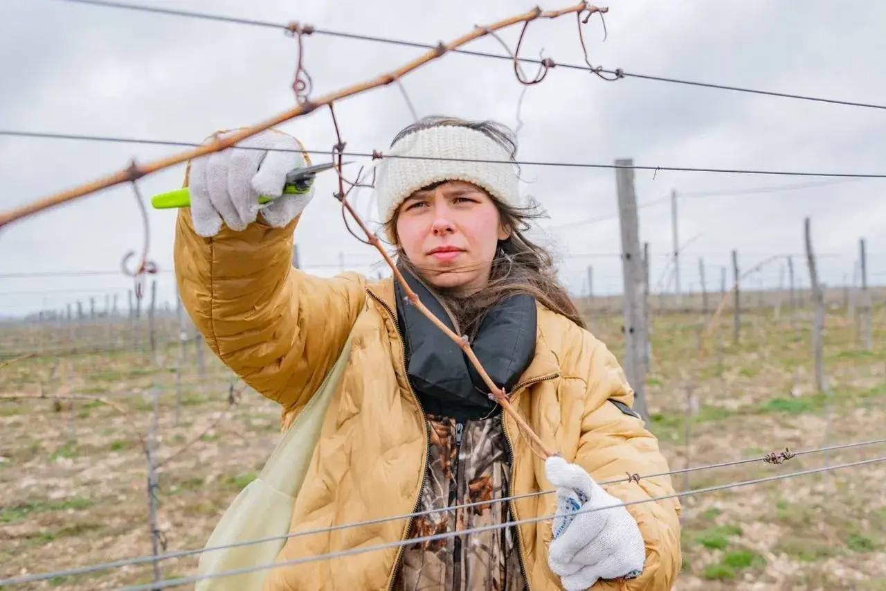 70% севастопольских агропредприятий укомплектованы выпускниками профильной кафедры