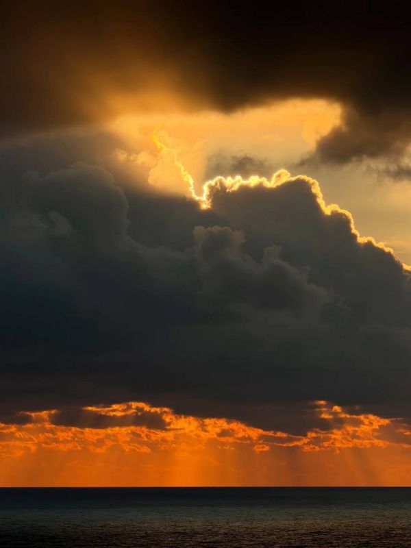 ������� �������. �����. �� ���������, ������ �������