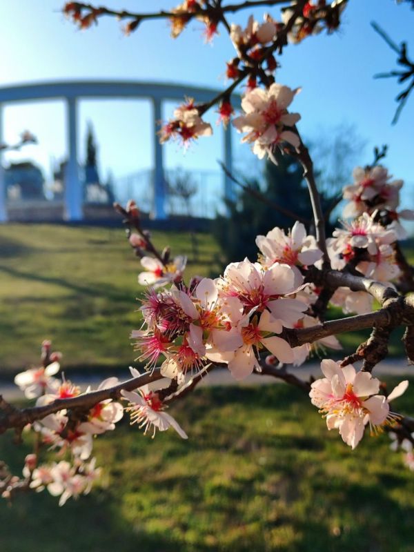 ���� ����� ��������� � ����������� ����������