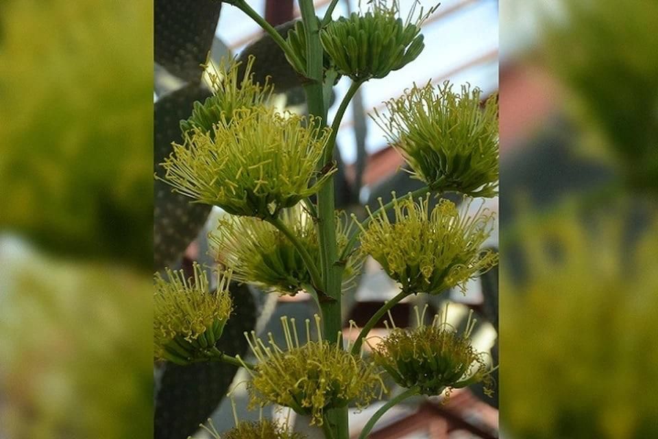 � ��������� ������������ ���� ������� �� 15 ��� ������� ������ �����