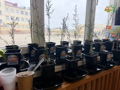 �������������� � ����� �������+�