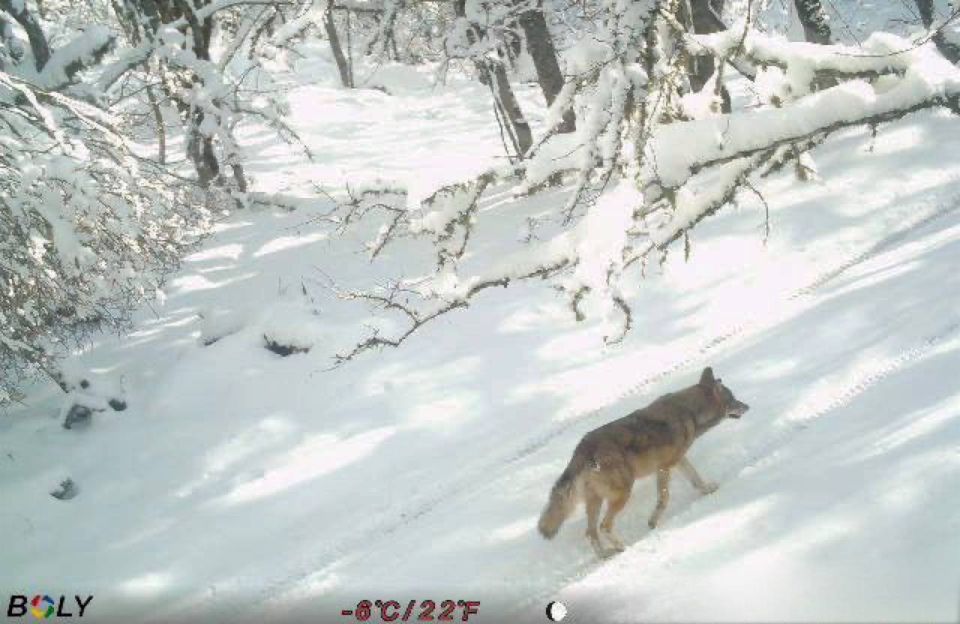 ����� � �����: ���������� ��� ����������?