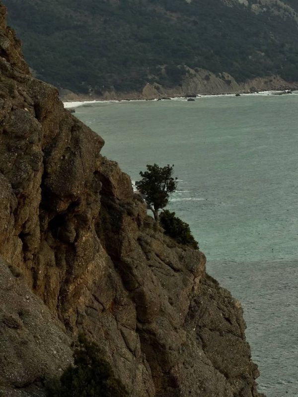 ������� �������. �����. �� ���������, ������ �������