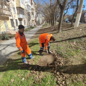 ���������: ������� �������. ��������� ����� �������� ����������� �� ��. ������, ��. ���� �������� ���� ������� ������