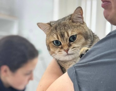 ������� ���������: ���� ���������� � ���� ������������ ������ ����� ������������ �� ������ ��� ������ 2026 ����