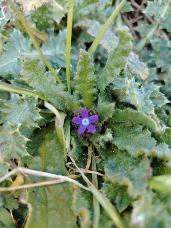 #��� �� ��������?. ��������� ������������ ��������� � ��������� �����