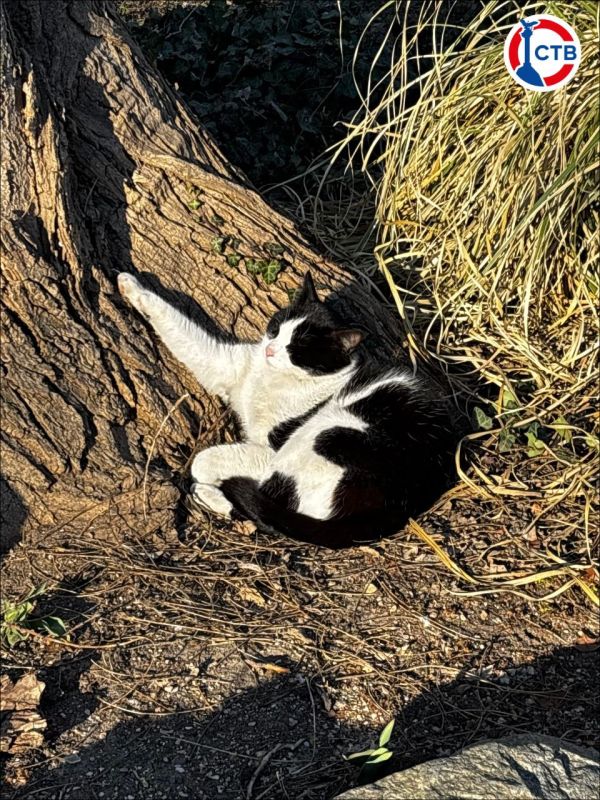 ������, �����! ��� ������ ����! ��� ���� ���������!�