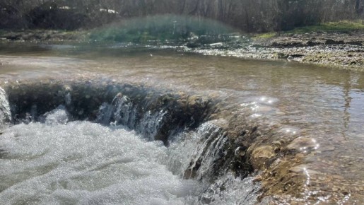 ������ �� 11 �����: