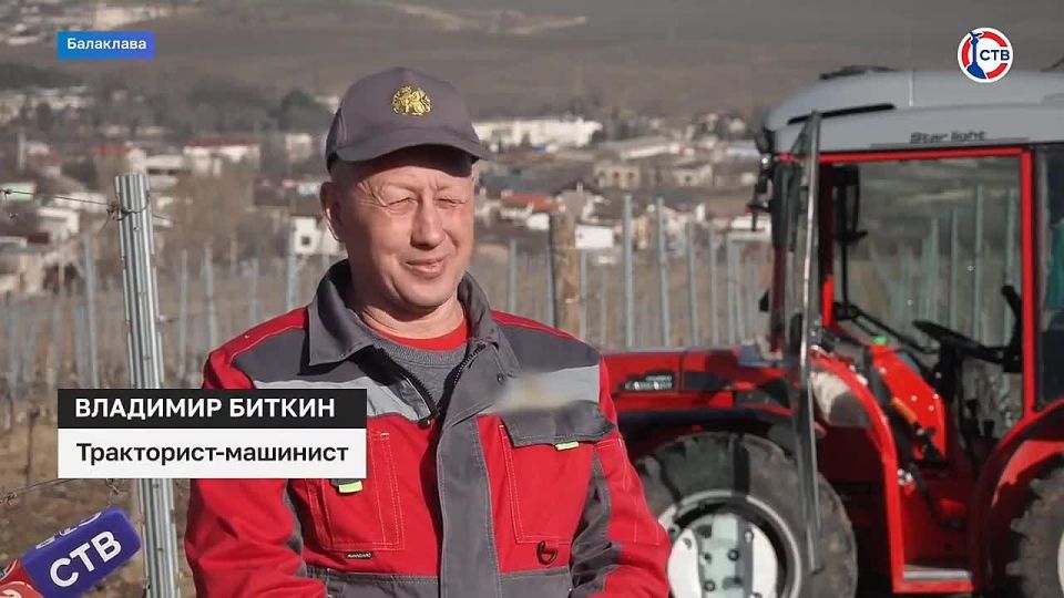 � ����������� ����������� ��������� ������� ������������ ����������������� ���������