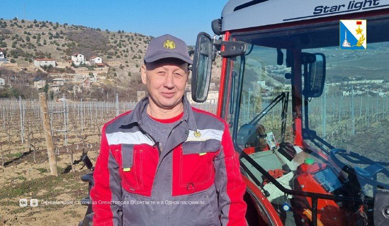 В агросекторе Севастополя трудятся более четырёх тысяч человек