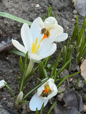 ������� ����!. � ����������� 11 ����� ��� �������