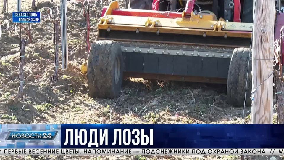 �� ����� ��� � ������� ������������ ������� ������������ ����������������� ���������?