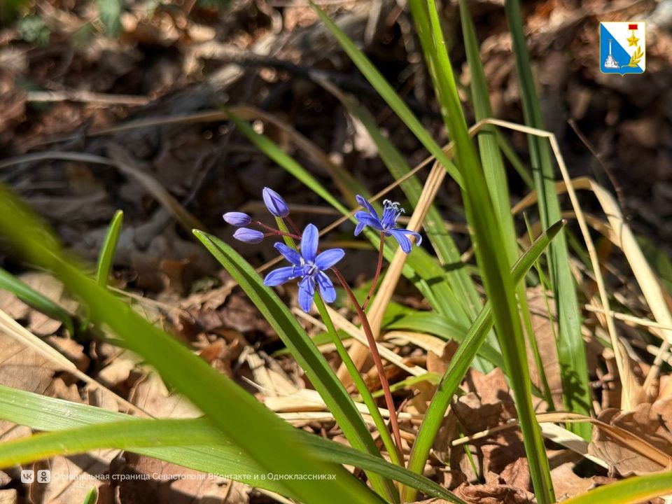 � ��������������� ����� ������� ������������� ����������