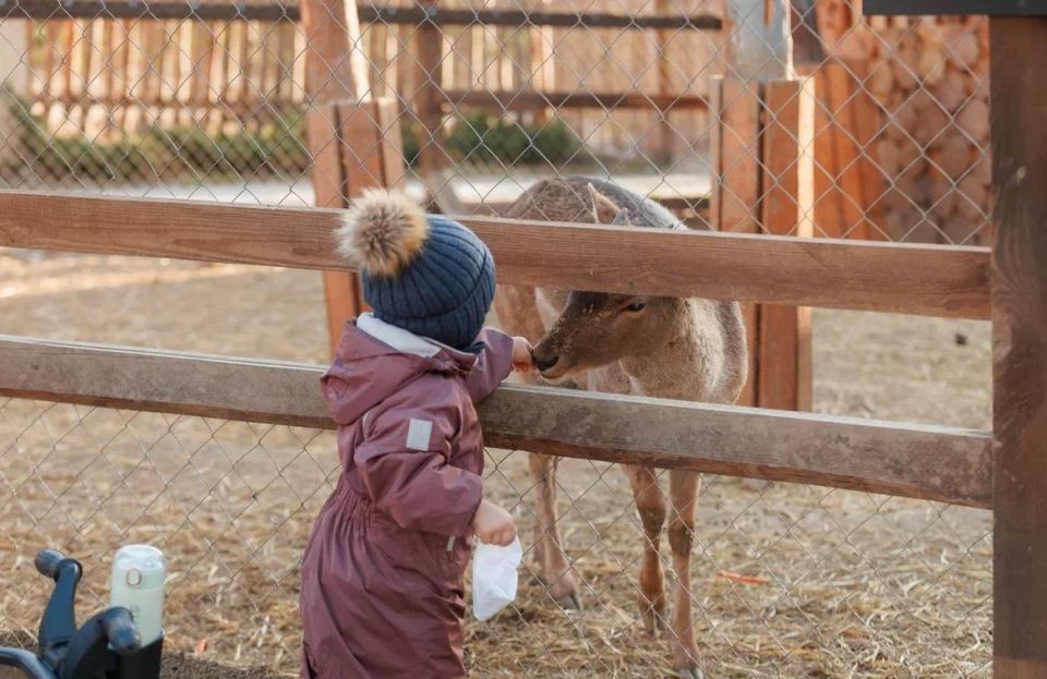 ������ ���������� � ����� ����������: � ��� ����� ����� �������