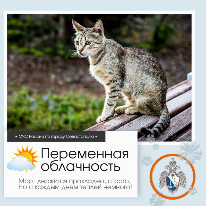 ������ ����, �����������!. �� ������ ��������������, 12 ����� � ����������� ����� ���������� ����������