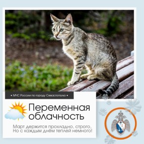 ������ ����, �����������!. �� ������ ��������������, 12 ����� � ����������� ����� ���������� ����������