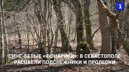 � ����������� �������� ����������