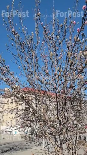 ������� ���������� ���������� ����������� � �������� �������� �������