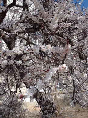 ����� � ����� ���������� � ������ ��-���������� ������ ����!