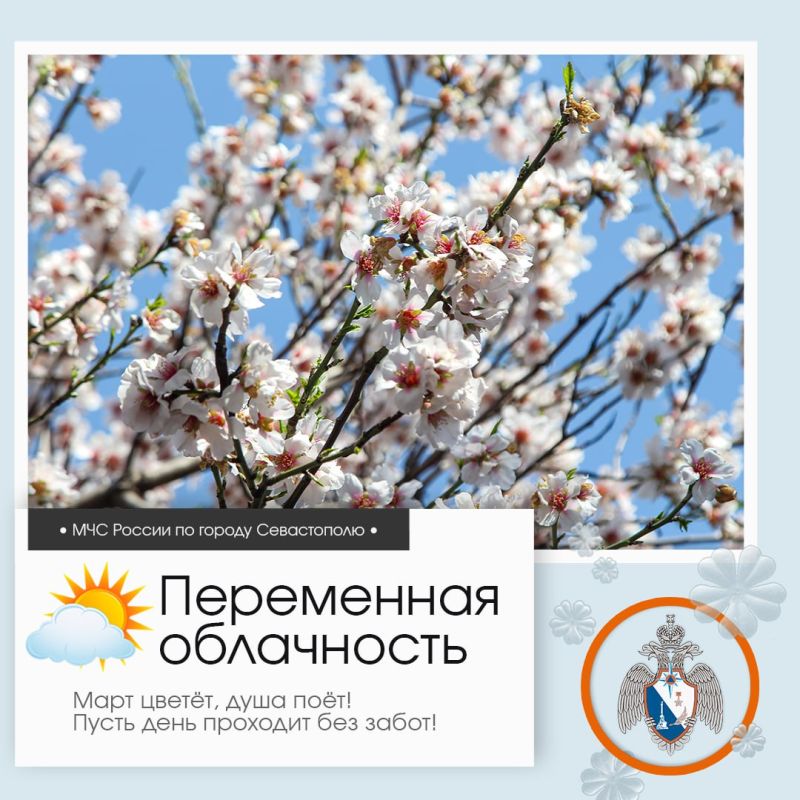 ����������, �����������!. �� ������ ��������������, 13 ����� � ����������� ����� ���������� ����������