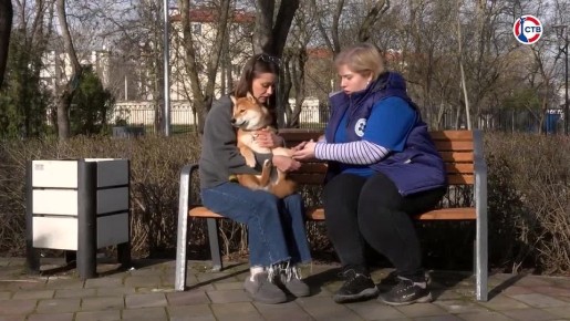 ���������� ��������� � �������� ������ �������� �������� �� ������