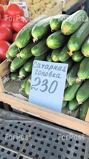 ��� �����: ���������� ���� �� ������, ����� � ����� � � ����� ������