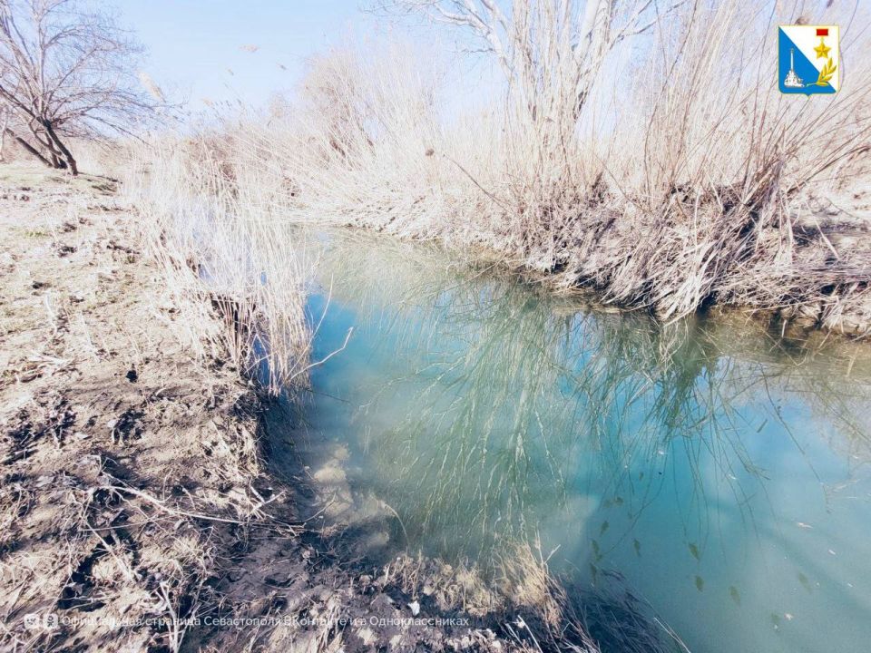 Вода России. Команда Севприроднадзора, вместе с неравнодушными жителями сегодня