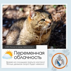 ������ ����, �����������!. �� ������ ��������������, 14 ����� � ����������� ����� ���������� ����������