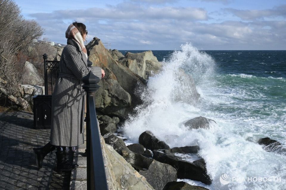 ������� ������ � ����� �� �������