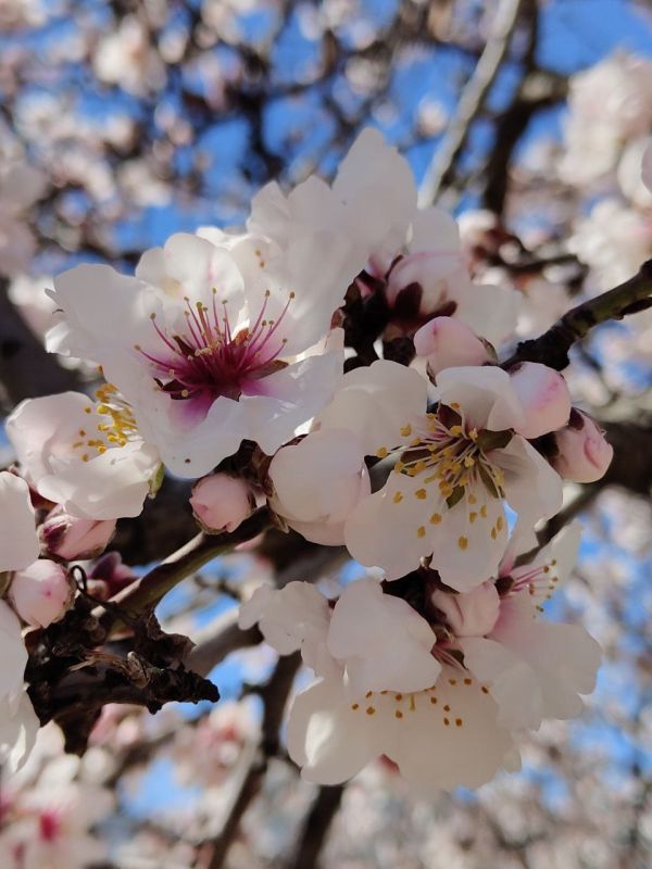 ������� ���������� ����, �������������!