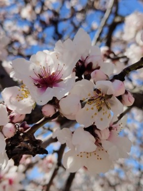 Доброго субботнего утра, севастопольцы!