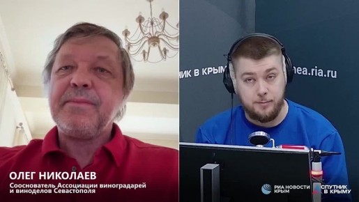 Больше никакого обмана: виноградные напитки запретят называть игристыми винами