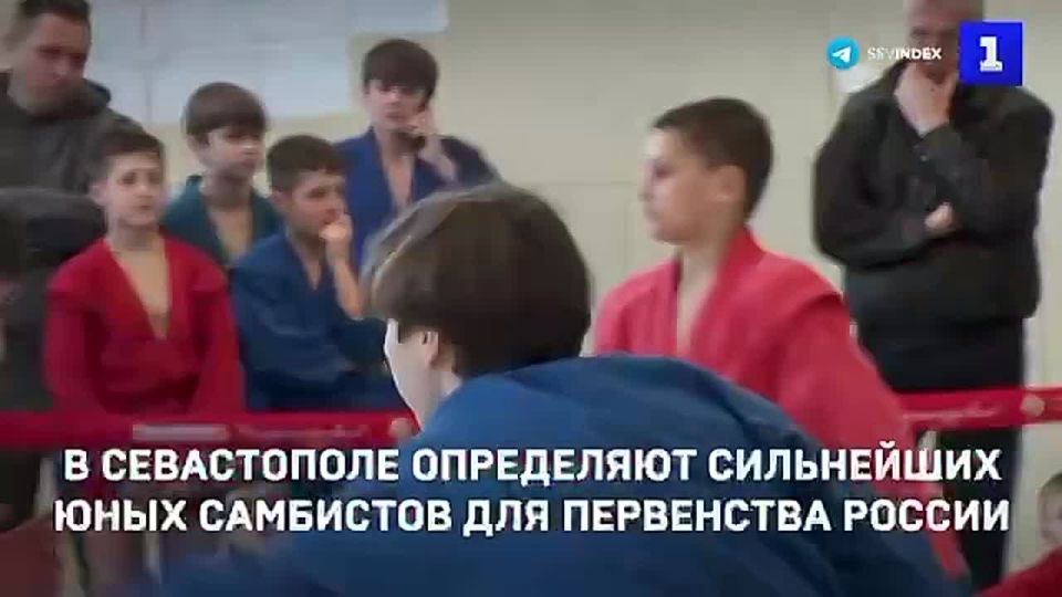Самбисты из 10 регионов России борются в Севастополе за право выступить на первенстве страны в Уфе