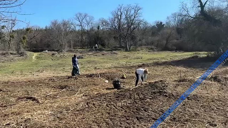 Порядка 60 человек приняли участие в субботнике в Максимовой даче