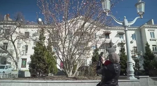 �� ������� ������� � ����������� ������� ������ �������� �������