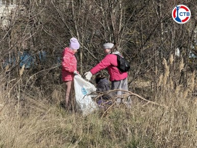 � ����������� �������� ������������� ���� ��� ������� ������ ��������