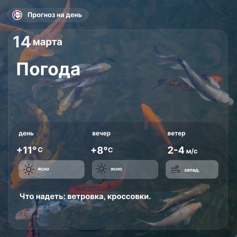 ������ ����, �������������! ������� � ������ ����