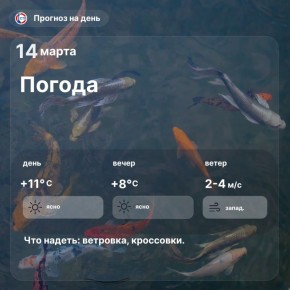 ������ ����, �������������! ������� � ������ ����