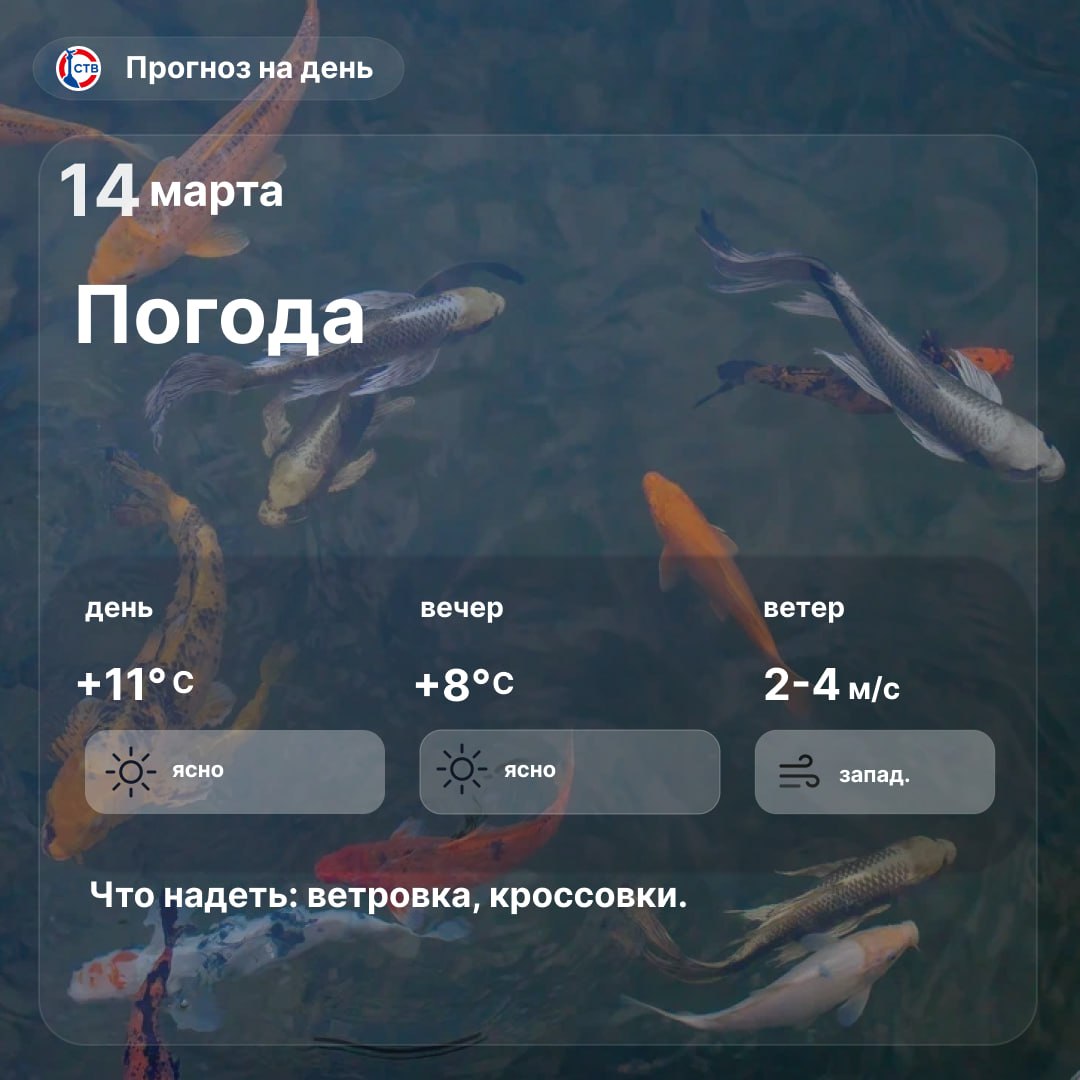 Доброе утро, севастопольцы! Сегодня в городе ясно
