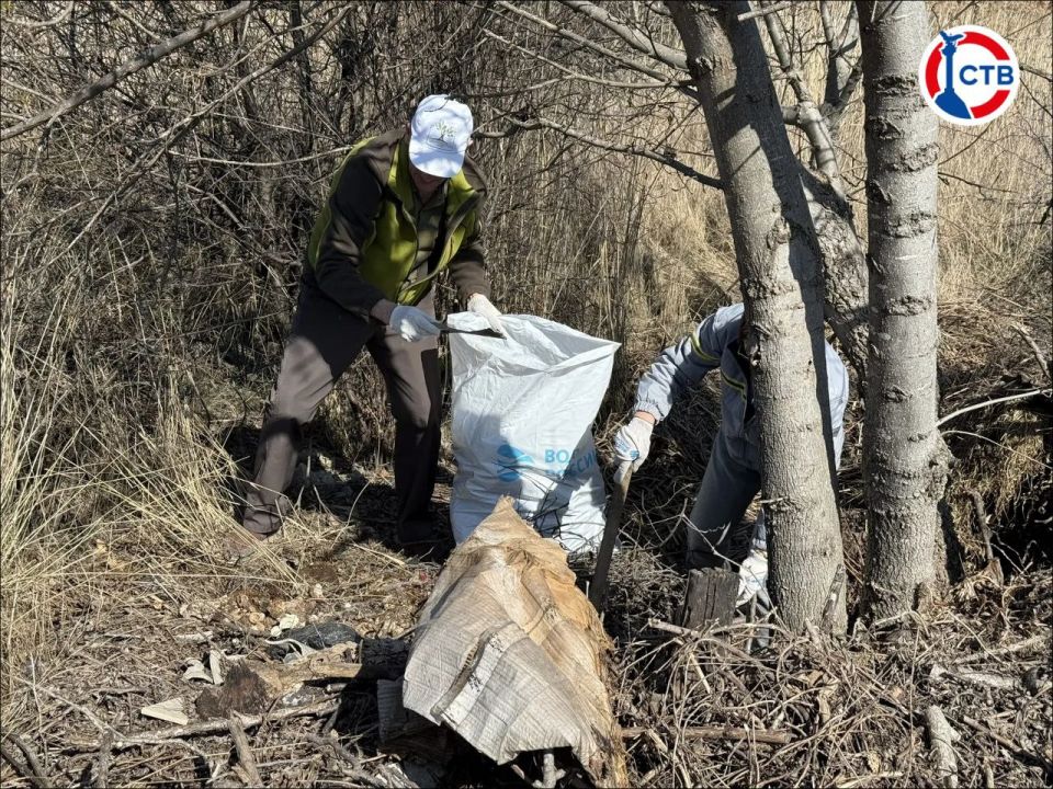 � ����������� �������� ������������� ���� ��� ������� ������ ��������