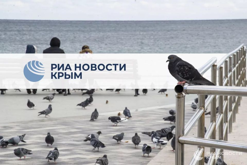 0 День с РИА Новости Крым